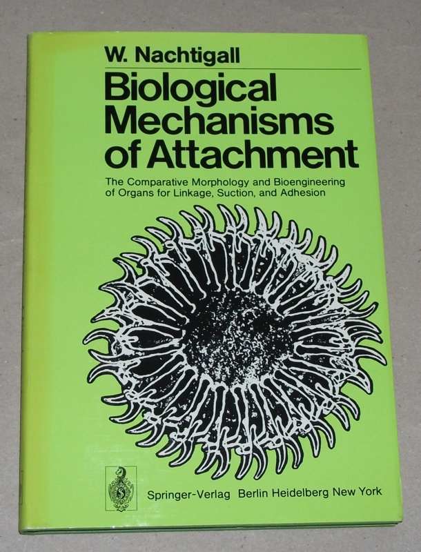 Nachtigall, Biological mechanisms of attachment