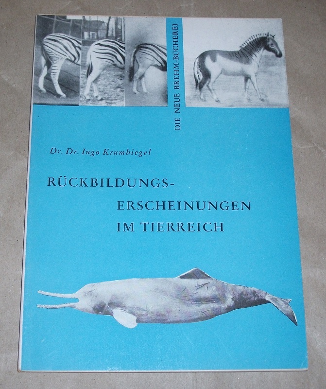 Krumbiegel, Rückbildungserscheinungen im Tierreich.