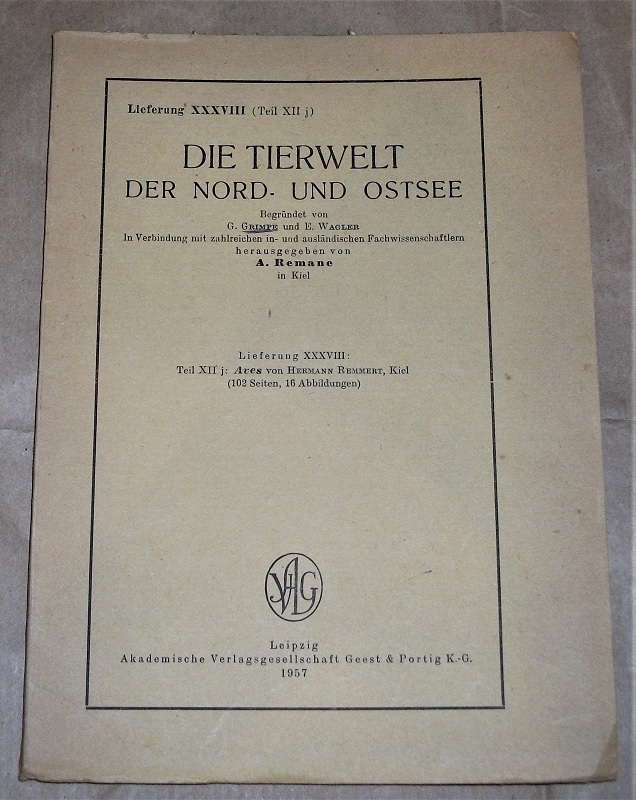 Remmert, Aves.