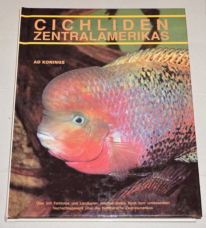 Konings, Cichliden Zentralamerikas.