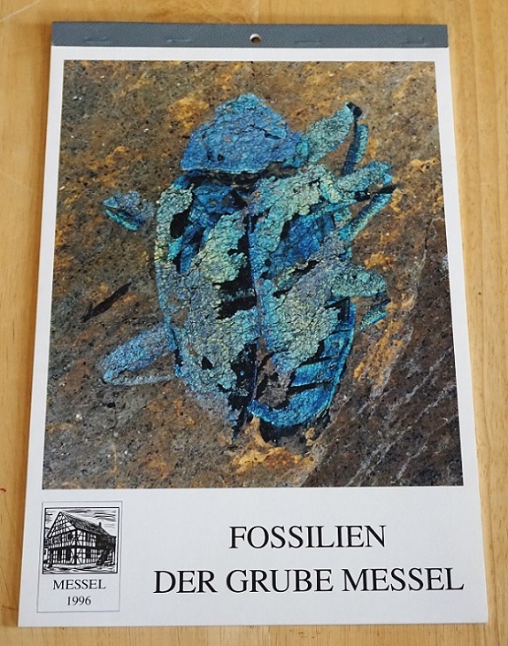 Museumsverein Messel e.V. (Hrsg.): Kalender 1996. Fossilien der Grube Messel.
