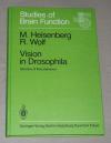 Heisenberg, Vision in drosophila