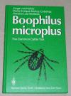 Nuñez, Boophilus Microplus