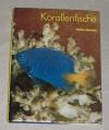Bechtel, Korallenfische