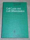 Reinert, Cell cycle and cell differentiation