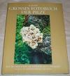 Kleijn, Grosses Fotobuch der Pilze.