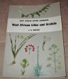 Morton, West African Lilies and orchids.