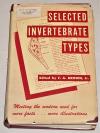 Brown, Selected invertebrate types.