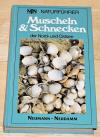 Willmann, Muscheln und Schnecken der Nord- und Ostsee.