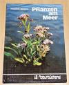 Jantzen, Pflanzen am Meer.