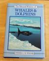 Evans, The natural history of whales & dolphins.