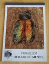Museumsverein Messel e.V. (Hrsg.): Kalender 1999. Fossilien der Grube Messel.
