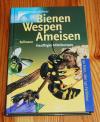 Bellmann, Bienen, Wespen, Ameisen.