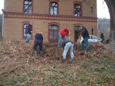 Bambuswurzelrodung von Hand