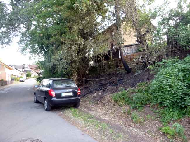 Verkohlte B�schung. Bild D. Diehl