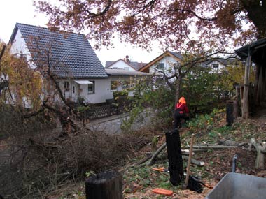 Pflegearbeiten im Garten (Susanne Diehl)