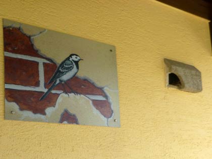 Nisthilfe mit Bild Bachstelze (D. Diehl)
