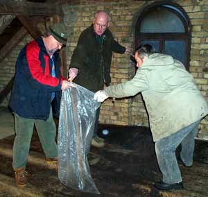 Einschaufeln des Fledermauskotes