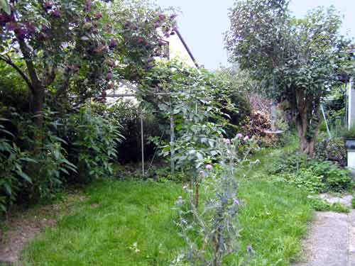 vogelfreundlicher Garten der Pflegestelle