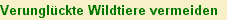 Zur Seite Wildtierunf�lle vermeiden