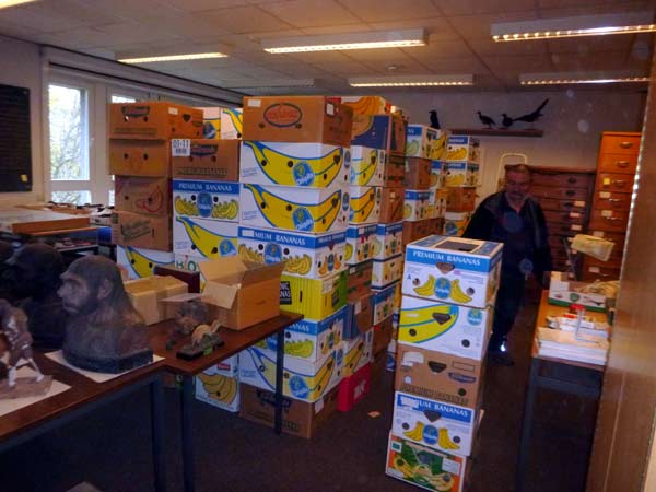 Kistenstapel f�r B�chertransport. D. Diehl