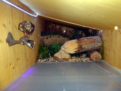 Blick in ein Diorama der NRT (D. Diehl)