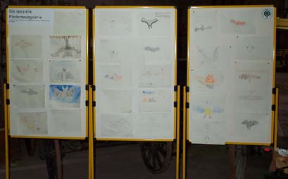 Tafeln mit Fledermauszeichnungen der Kinder