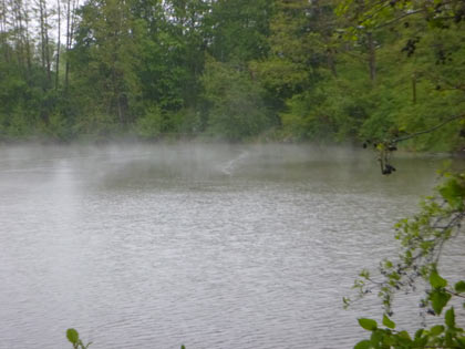Eisregen und Nebel beim Birdrace