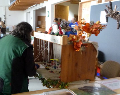 Stand gewinnen mit Spinnen (D. Diehl)