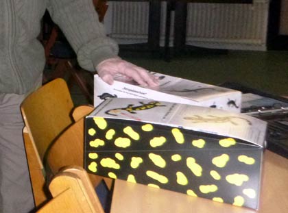 2 Kisten Salamanderfiguren (D. Diehl)